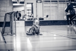projektfotografie.ch Nesslau - 2016  055.jpg