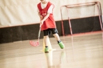 Unihockey-003.jpg